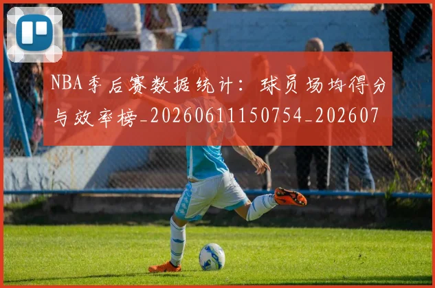 NBA季后赛数据统计：球员场均得分与效率榜_20260611150754_20260702194612_20260714211712