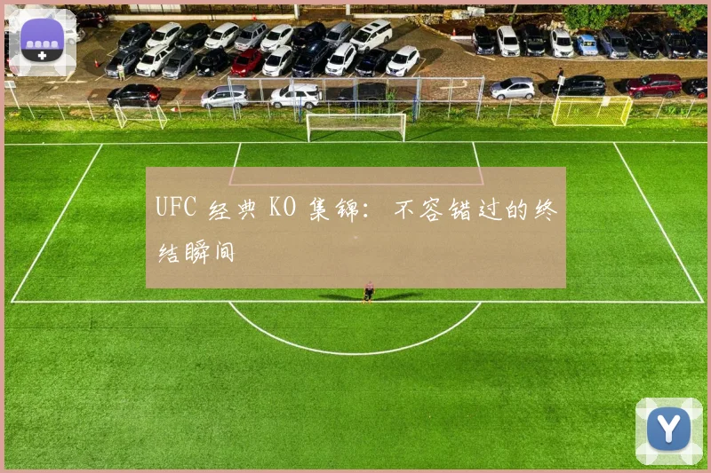 UFC 经典 KO 集锦:不容错过的终结瞬间