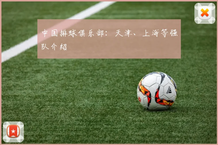 中国排球俱乐部:天津、上海等强队介绍
