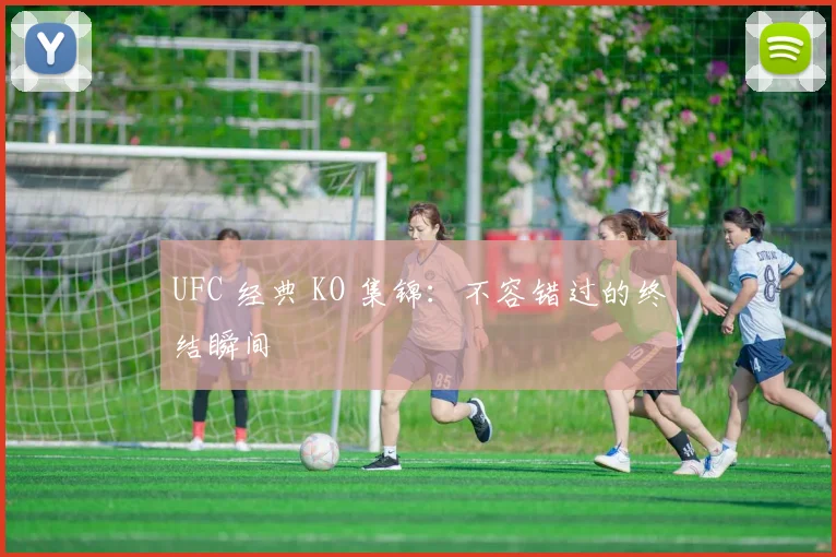 UFC 经典 KO 集锦：不容错过的终结瞬间