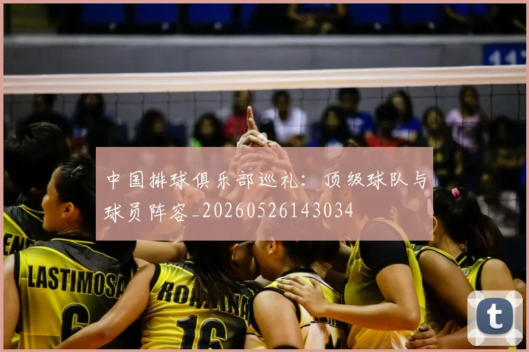 中国排球俱乐部巡礼：顶级球队与球员阵容_20260526143034