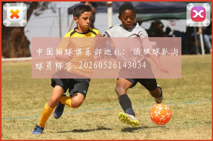 中国排球俱乐部巡礼:顶级球队与球员阵容_20260526143034