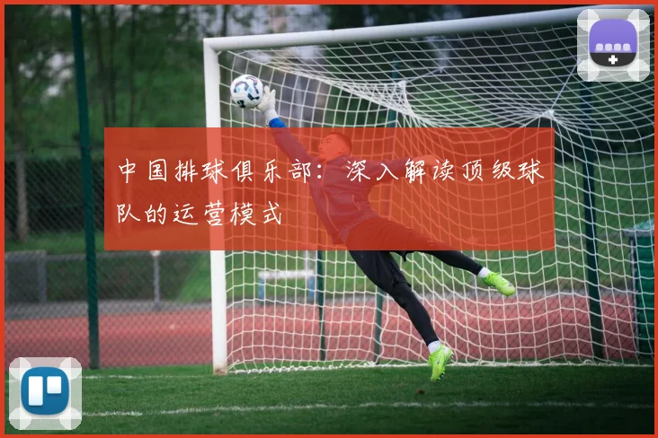 中国排球俱乐部:深入解读顶级球队的运营模式