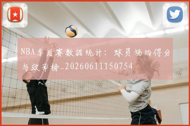 NBA季后赛数据统计：球员场均得分与效率榜_20260611150754